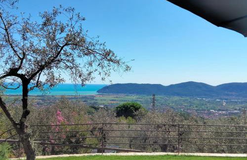 A CASA DI OLIVO - Foto 6