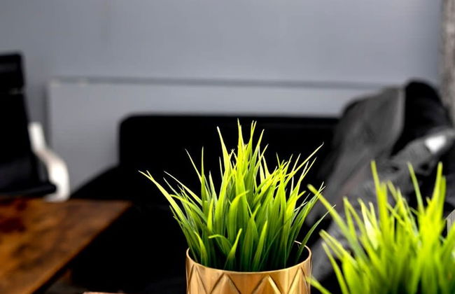 The Maelor - Berwyn House Central Wrexham - Photo 63