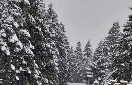 Maria GuestHouse - Foto 36