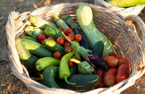 Pelagias Villa - Photo 50