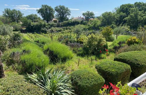 Villa Yucca Istra - Foto 14