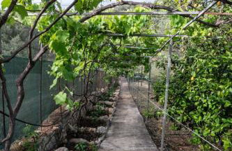 Country House Hortensia - Foto 27