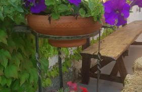 Casa Rural Rincón - Foto 30