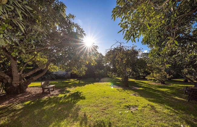 Camelot Boutique Accommodations - Foto 25