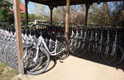 Müritzparadies - Feriendorf Alte Fahrt - Foto 42