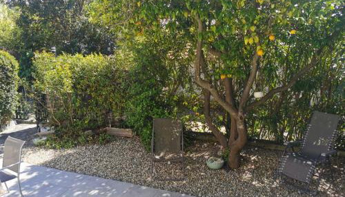 U Casetta - Foto 2, Garden