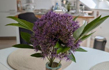 Gästehaus Gast - Foto 7