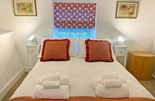 Ddwylig Bach - Uk48623 - Photo 2