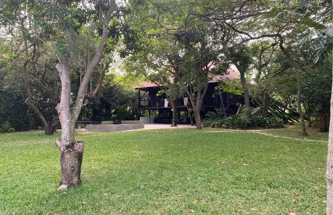 Log Cabin On And Overlooking a 9km Lagoon - Photo 17