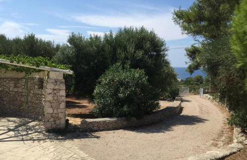 Marcheddu OFF - Foto 10