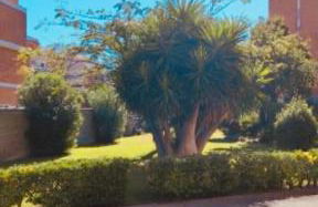 Cama Soul Apartment, free covered parking on the property - Foto 32