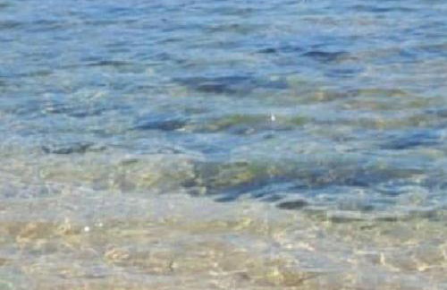 F2 pieds dans l'eau - Foto 10