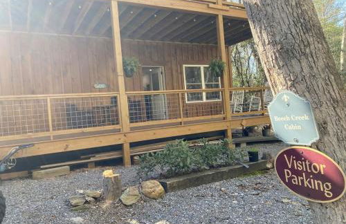 Beech Creek Cabin, lower unit, Black Mountain - Foto 18