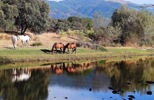 Tu Casa de Pueblo - Photo 18