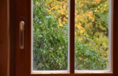 Ferienhaus an der Höh' - Foto 24