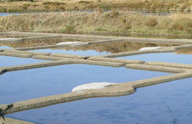 Flat With Direct Beach Access - Photo 16