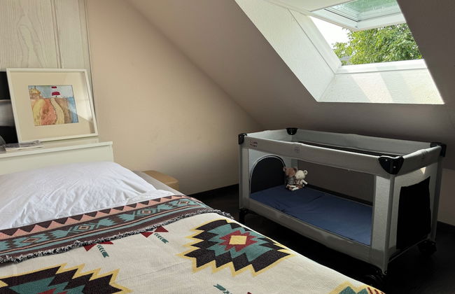 Modern House Gehrden contactless garden - Foto 11