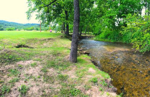 Lil Yellowstone - Foto 63