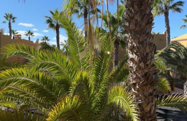 Casa Alma - Photo 34