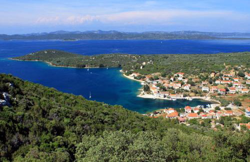 Apartments by the sea Luka, Dugi otok - 8182 - Photo 21
