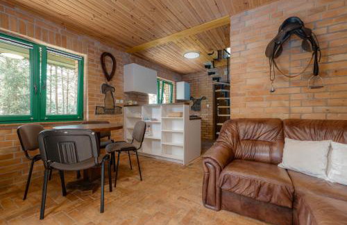 Raj na Kaszubach - Pałubicka Bór - Domy na Wynajem - Foto 64