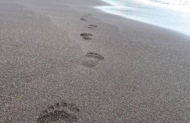 Seacrets Beach House - Foto 25