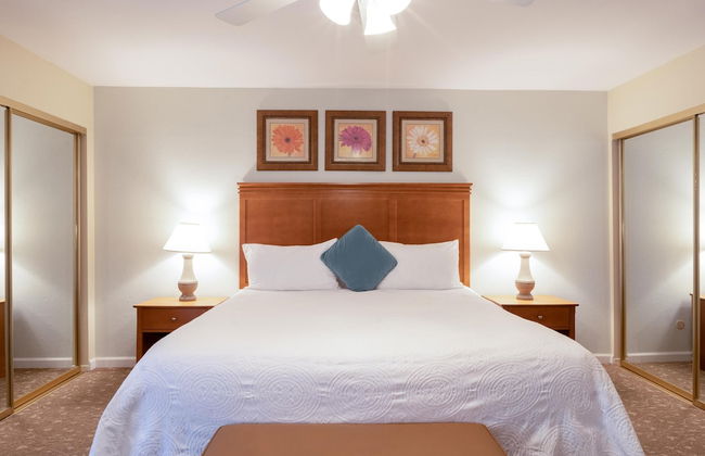 San Diego Country Estates - Foto 15