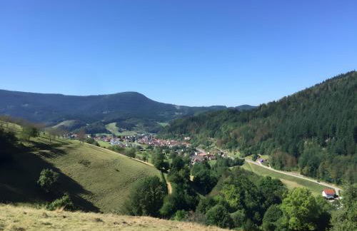 Ferienwohnungen Beilerstädtle - Foto 16