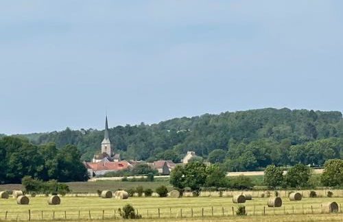 La Closerie de Gigny Maison Templiere avec Piscine,jacuzzi - Foto 32