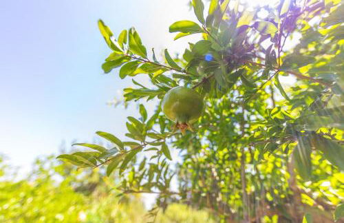 Casa Pájaro Colores in Bolonia - Foto 70