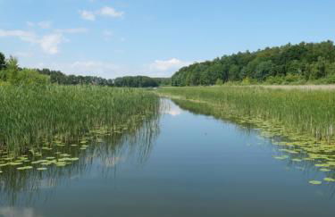 Lütt Hütt - Foto 6