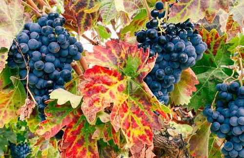 Apartamento "Kanogal" - Photo 29