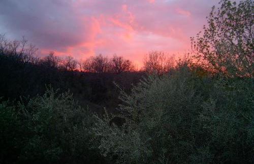 Agriturismo le Cammarose - Foto 68