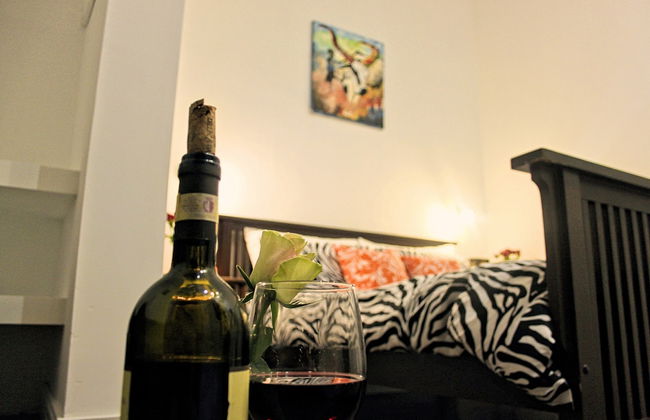 Maltese Maltese - Foto 17