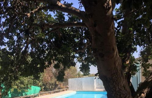 La Casa del Carrubo con Piscina condivisa in campagna vicino al mare - Canestanco 18 - Foto 2