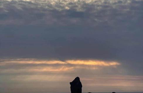 Bell Ringers Cottage - Foto 24