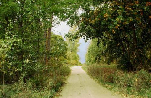 Siedlisko Szwałk - Foto 35