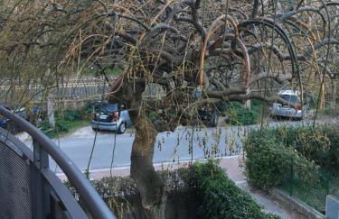 Residence Il Porto 2 - Foto 30