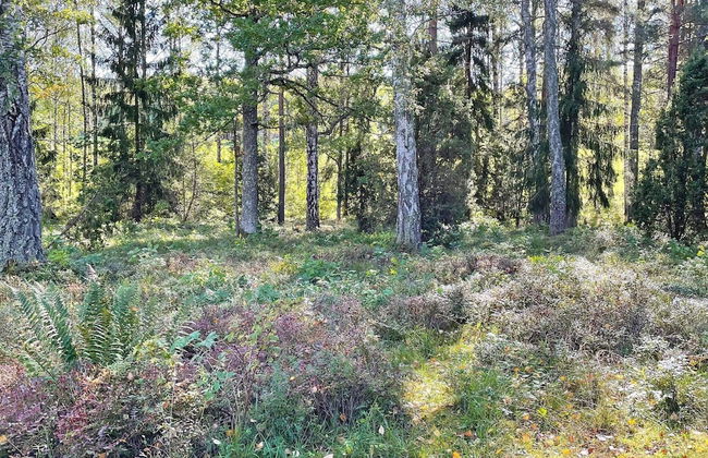 6 Person Holiday Home in Vingaker-by Traum - Foto 14