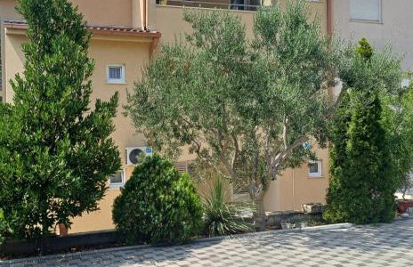 Apartments Villa Toma - Foto 6