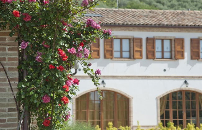 Terra del Sole - Foto 60