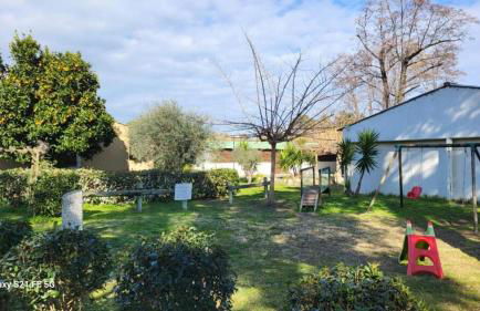 Chalet climatisé avec patio en Haute Corse 5 couchages - Foto 19