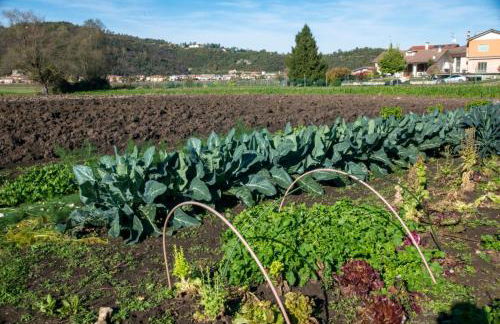 Ca' dei Berici - Relax tra Colli e città d'arte - Foto 19