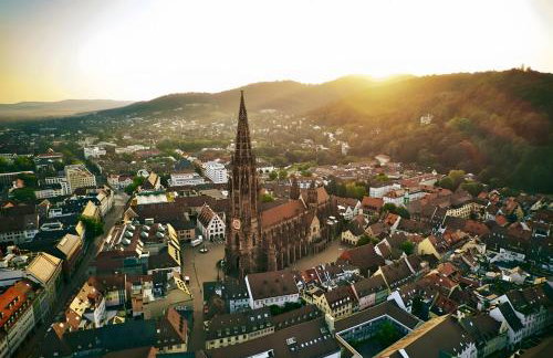 Breisgau Lofts - Nähe Europapark - Foto 30