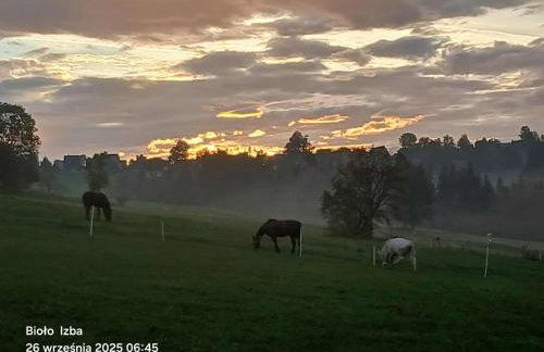 Apartament Bioło Izba - Foto 15