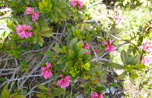 Appartement Capucine - Foto 6