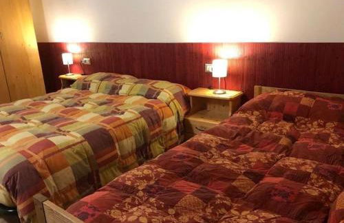 Agriturismo il Podere Vedelago con San Bernardo, Alpaca e una Pentola di cose da scoprire - Foto 26