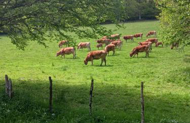 Moulin de Sansonneche - Gite Laine - Foto 33
