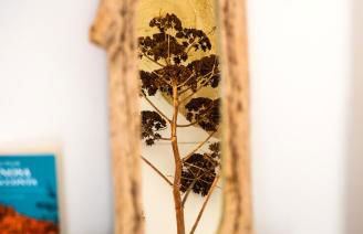 Casa Levante - Foto 30