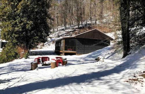 Cabin at the cove at Watauga Lake - Foto 34